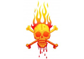 Sticker flamme tête de mort moto