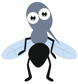 Sticker Insectes Pour La Chambre De Votre Enfant Sticker Insectes Pour La Chambre De Votre Enfant