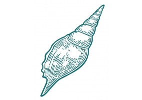 Autocollants muraux marine