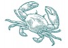 Sticker marin crabe vert