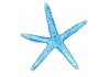 Sticker marin étoile de mer
