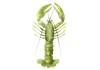 Sticker marin langoustine