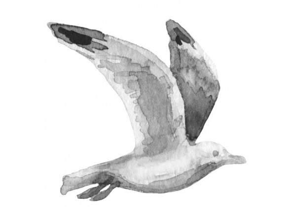 Sticker marin oiseau aquarelle