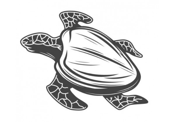 Sticker marin tortue
