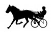 Sticker sport cheval