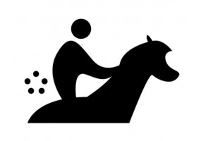 Sticker sport équitation