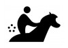 Sticker sport équitation