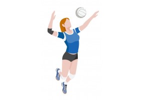 Sticker sport volley