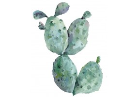 Sticker cactus