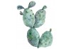 Sticker cactus