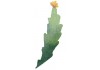 Sticker cactus