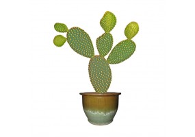 Sticker cactus pot