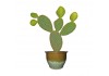 Sticker cactus pot