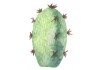 Sticker cactus décoration 