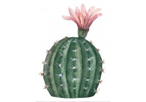 Sticker cactus décoration