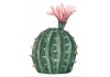 Sticker cactus décoration pas cher