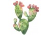 Sticker cactus déco avec fleurs