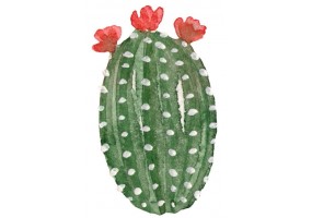Sticker cactus décoration