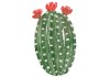 Sticker cactus décoration geant