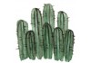 Sticker multi cactus