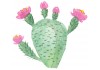 Sticker cactus décoration XXL