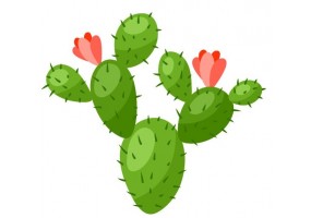 Sticker cactus fleur