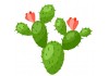 Sticker cactus fleur deco