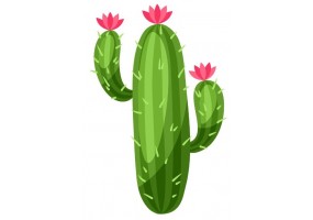 Sticker cactus fleur rose