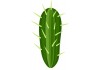 Sticker cactus