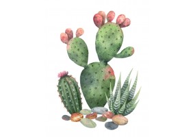 Sticker cactus