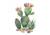 Sticker cactus