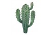 Sticker cactus