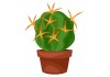 Sticker cactus pot