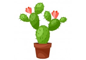 Sticker cactus pot