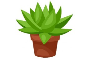 Sticker cactus pot