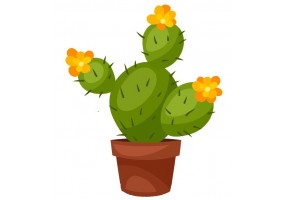 Sticker cactus pot