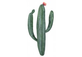 Sticker cactus vert