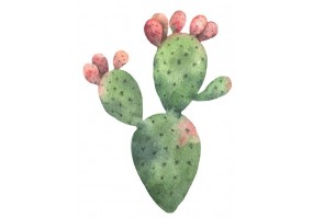Sticker cactus vert