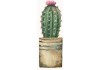 Sticker cactus vert