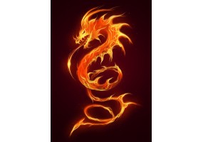 Sticker dragon feu flammes