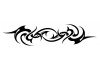 Stickers deco tribal voiture