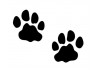 Sticker patte léopard