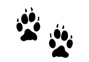 Autocollant patte loup