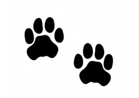 Stickers muraux patte tigre