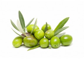 Sticker olive et feuilles