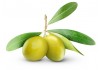 Sticker olive