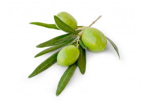 Autocollant mural olive