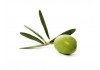 Autocollant olive