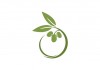 Sticker olive déco