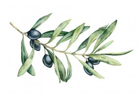 Sticker olive provencale
